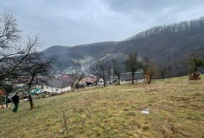 Casă cu 2 camere cu Teren 6000 Mp în Tăuții-Măgherăuș - 2