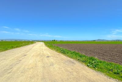 Teren intravilan, 1.7 hectare, Stupini Strada Barsei - 2