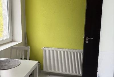 Apartament 2 camere + curte proprie, zona Viilor / Parcul Carol Apartament 2 camere + curte proprie, zona Viilor / Parcul Carol - 7