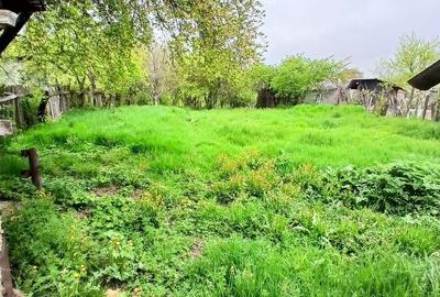 Casă cu 2 camere în Decindeni - 1