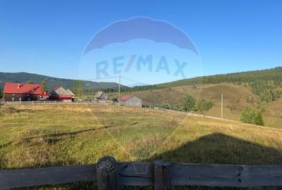 Teren agricol extravilan de 4914 mp, în Giurcuța de Sus - 1