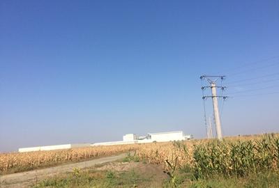 Teren agricol extravilan de 27600 mp, în Sinești