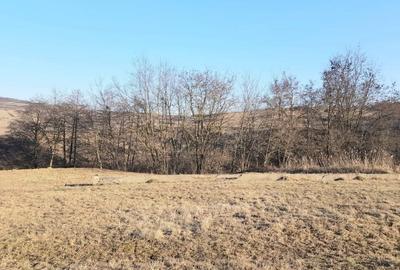 Teren Construcții intravilan de 602 mp, în Borhanci - 11