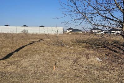 Spațiu comercial, în Tișăuți - 1