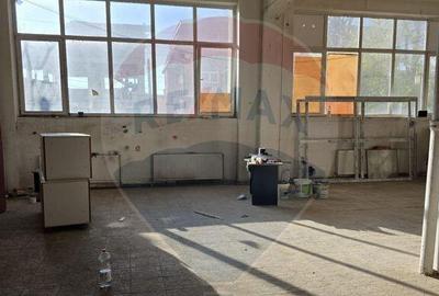 Spațiu comercial, de 216 mp, în Baicului - 5