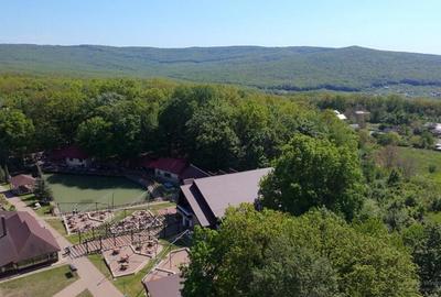 Teren de 850 mp, în Pietrărie - 7