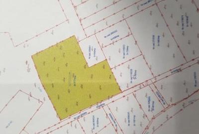 Teren Construcții intravilan de 4271 mp, în Mănăștur - 3