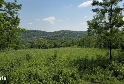 Spațiu comercial, în Bărzila - 6