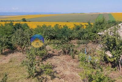 Teren de vanzare - Margineni 5920 mp - 17