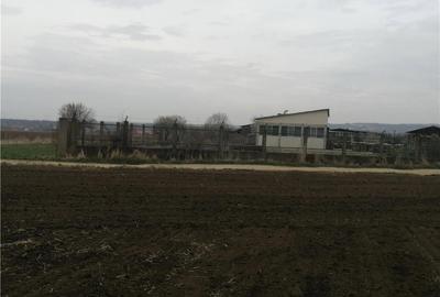 Teren de 8800 mp, în Vinerea - 2