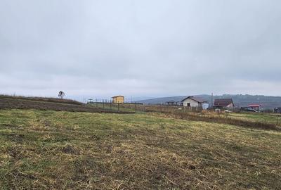 Spațiu comercial, în Chicerea - 6