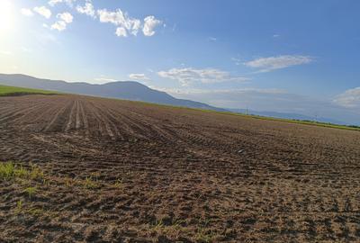 Teren extravilan arabil 20.000 mp Cristian Teren extravilan arabil 20.000 mp Cristian - 9