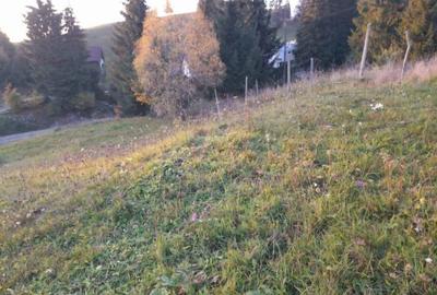 Teren de 1500 mp, în Colibița - 2