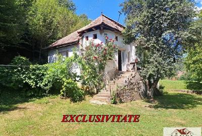 Casa de vanzare in zona Vintu cu 10.790 mp teren - 1