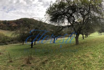 Teren 14500mp | Valea Sanaslaului Teren 14500mp | Valea Sanaslaului - 1