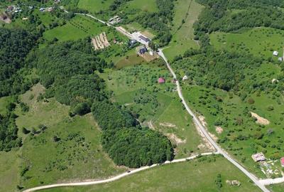 Teren agricol intravilan de 55600 mp, în Codru Butesii - 18