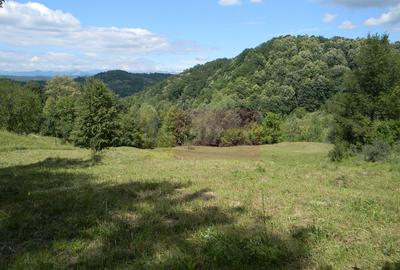 Teren intravilan de vanzare in Telega - 2