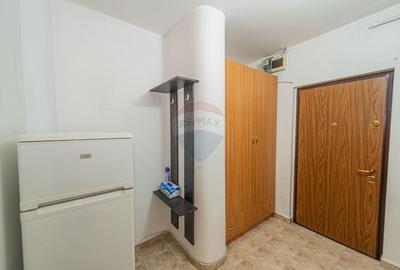 Apartament cu 1 camere decomandat, mobilat în Tineretului - 12