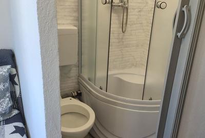 Apartament decomandat în Drumul Carului