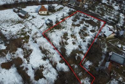 Teren de 3011 mp, în Bradu - 4