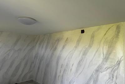 Casă individuală cu 3 camere cu Teren 1000 Mp în Șerbănești (Rociu) - 6