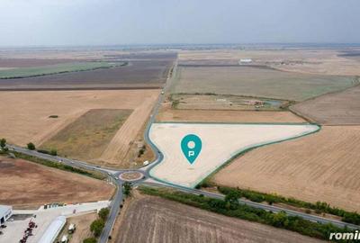 Teren DN6 Timi?oara -Cenad sens giratoriu Dude?tii Noi - 3