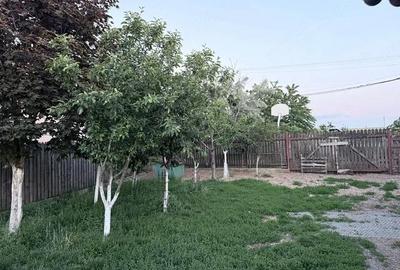 Casă cu 4 camere cu Teren 720 Mp în Cruceni - 2
