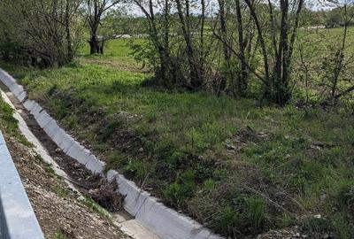 Teren în Copăcel - 3