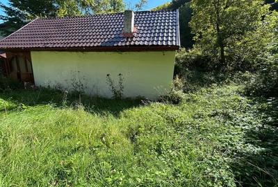 Cabana de vanzare, Valea Manastirii - Ramet - 9