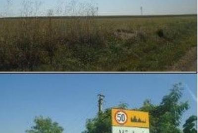 Teren de 5000 mp, în Vârlezi - 15