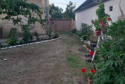 Casă cu 6 camere cu Teren 1401 Mp în Alioș - 8