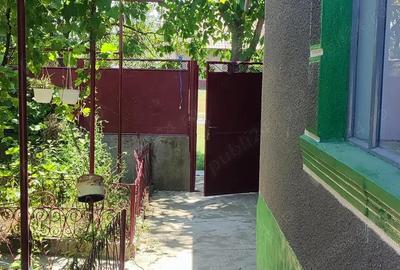 Casă cu 6 camere cu Teren 2880 Mp în Mișca - 3