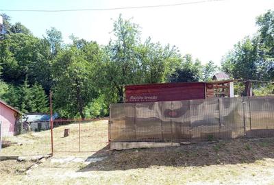 Anina, Sigismund, Casa 4 Incaperi, 1439mp Teren, ZERO Comisi - 4