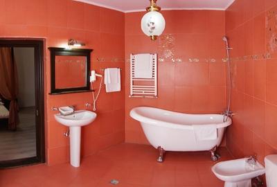 Apartament cu 8 camere decomandat în Central - 12