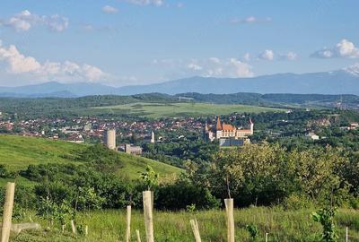 Teren de 1500 mp, în Central - 3
