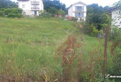 Teren de vanzare, 2864 mp, Dambul Rotund - 4