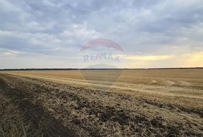 Teren de 3730 mp, în Buftea - 3