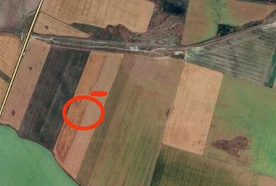 Teren de 88000 mp, în Mihai Viteazu - 3