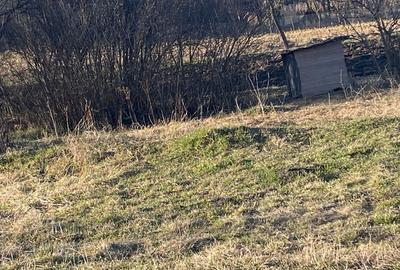 Teren Construcții intravilan de 2100 mp, în Feiurdeni - 12