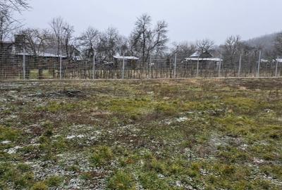 Casă individuală cu 2 camere cu Canalizare în Mitrofani - 4