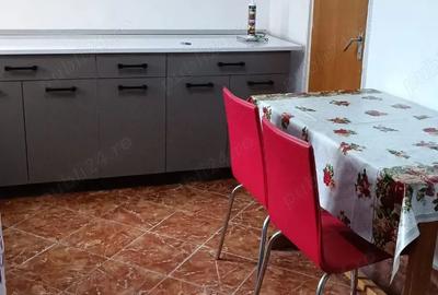 Apartament cu 3 camere semidecomandat în Tineretului - 1