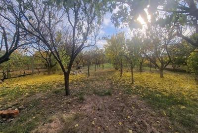 RECO Vila deosebita  in Santandrei cu sauna si teren generos - 45