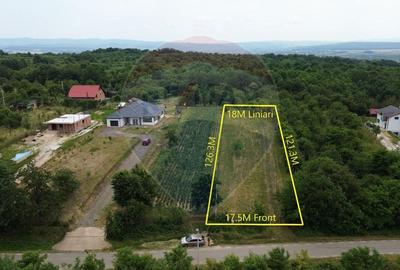 Teren pretabil constructii/10 min de Baia Mare - 3