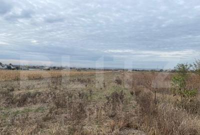 Teren extravilan de 2539 mp in Dudovicesti - 3