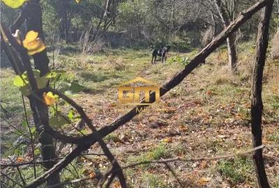 Teren 1780,92 mp in Olanesti-Bai - 1