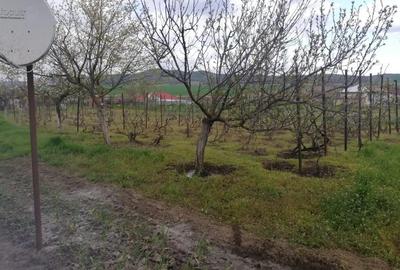 Casă cu 3 camere în Balabancea - 14