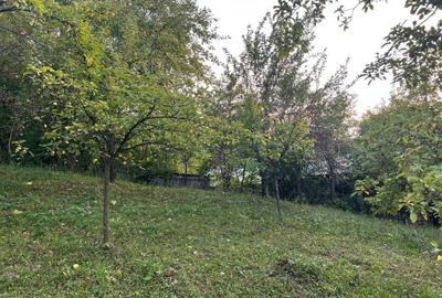 Casa de vanzare Soveja-Vrancea - 36