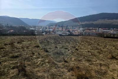 Teren Construcții intravilan de 2606 mp, în Calea Romanului - 4