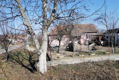 Spațiu comercial, în Lazuri - 3
