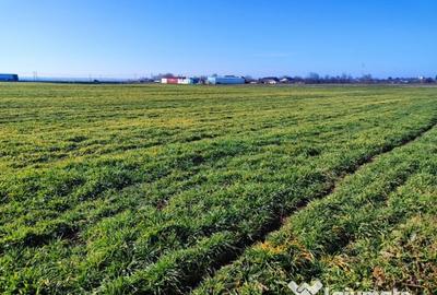 Teren de 43000 mp, în Căzănești - 1